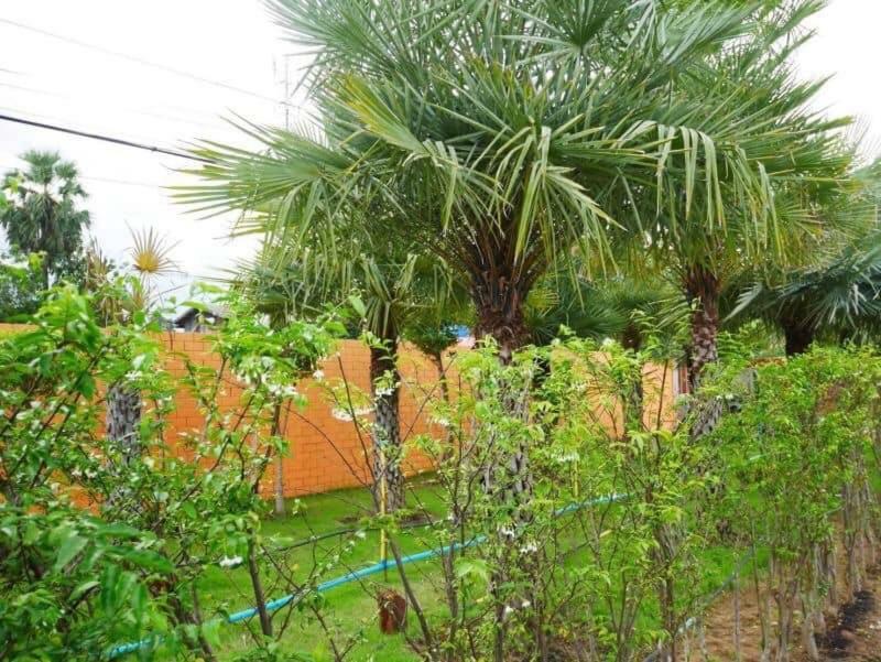 Tinna Resort Ban Nong Mai Ngam Ngoại thất bức ảnh